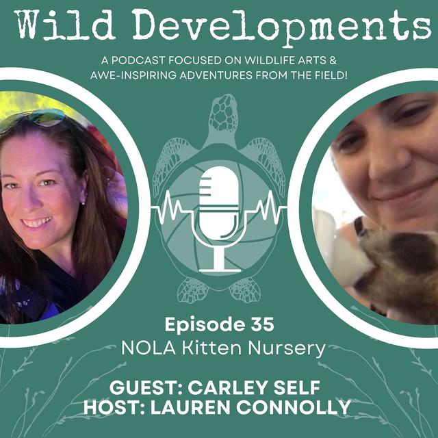 NOLA Kitten Nursery - podcast episode cover