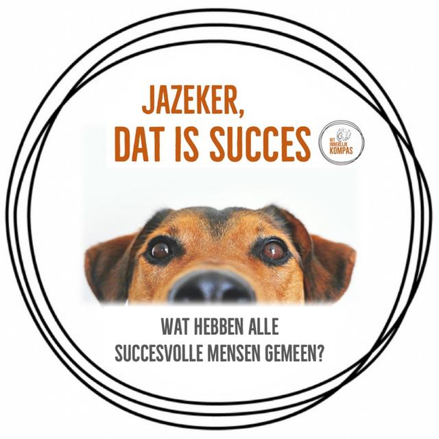 Wat hebben alle succesvolle mensen gemeen? - podcast episode cover
