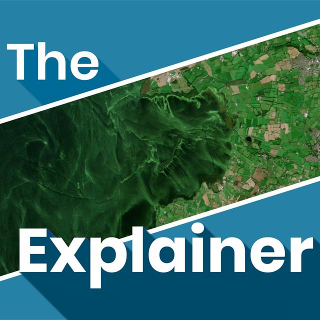 Lough Neagh has been hit by an algal bloom disaster - what’s happening? - podcast episode cover