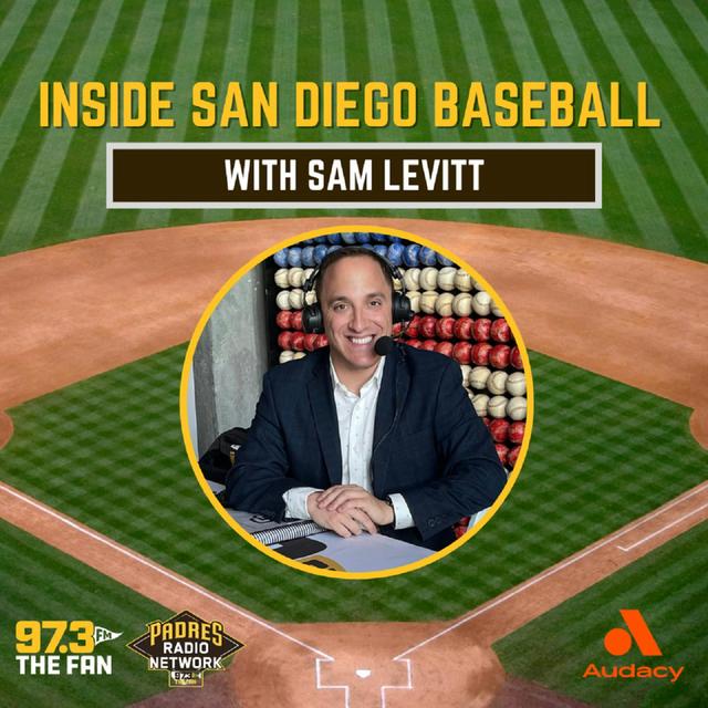 7.2.25 Mike Shildt Game 2 postgame reaction - podcast episode cover