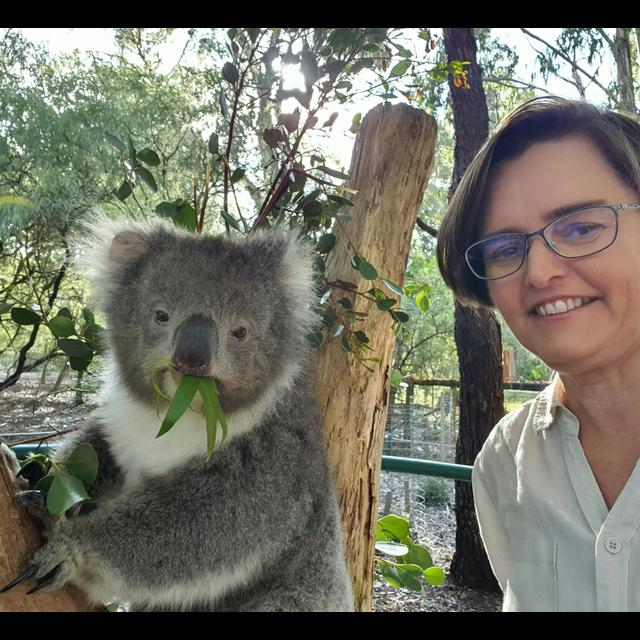 Episode 323: Koalas and their future w/Dr. Danielle Clode - podcast episode cover