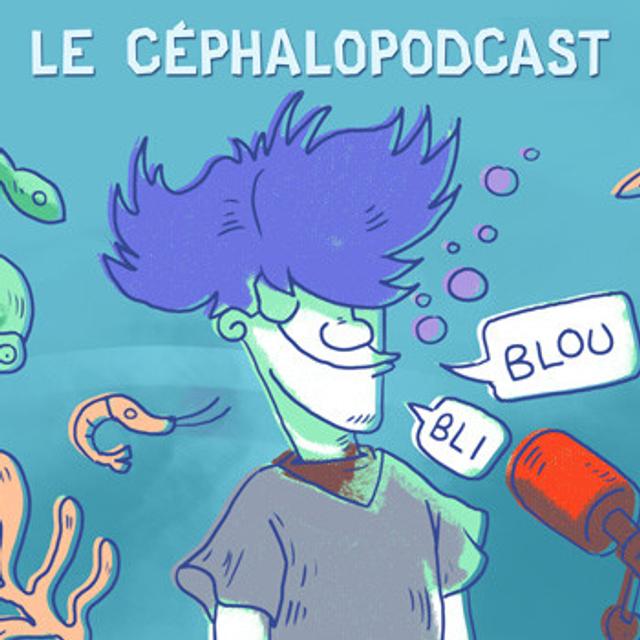 ZQSD #10 - podcast episode cover