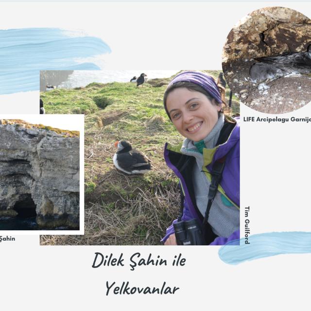 18 - Dilek Şahin ile Yelkovanlar - podcast episode cover
