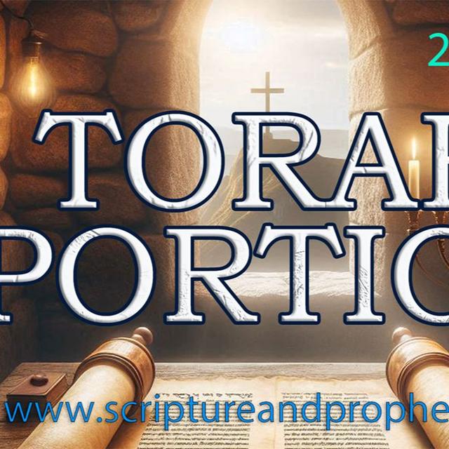 Torah Portion Week 1 - B’reisheet - In the Beginning (2024-2025) - podcast episode cover