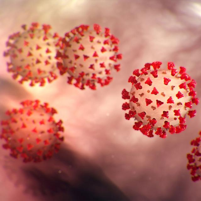 Understanding the Coronavirus (COVID-19) - podcast episode cover