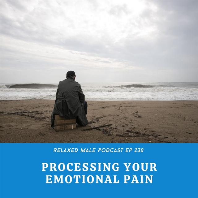 The Path of Fulfillment Is Acknowledging Emotional Pain - podcast episode cover