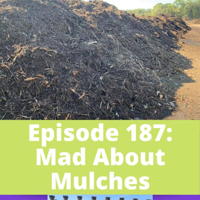 Mad About Mulches - podcast episode cover