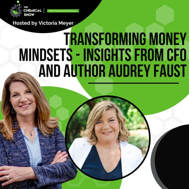 Transforming Money Mindsets - Insights from CFO and Author Audrey Faust - Ep. 208 - podcast episode cover