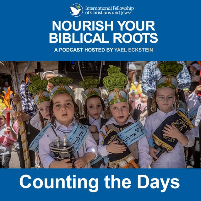 Counting the Days - podcast episode cover