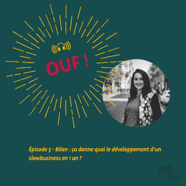 #3 - Bilan : ça donne quoi le développement d'un slowbusiness en 1 an ? - podcast episode cover