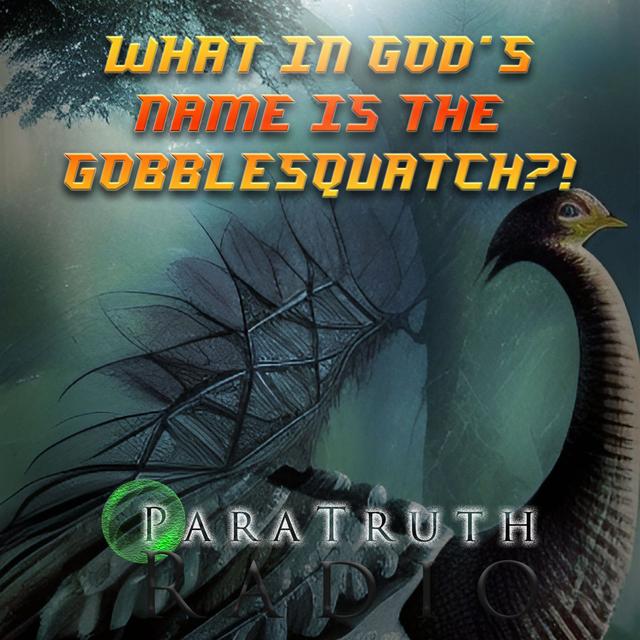 What in God's Name is the Gobblesquatch?! - podcast episode cover