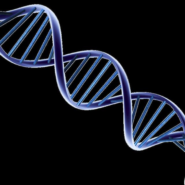 The Strange DNA of a Surf Song - podcast episode cover