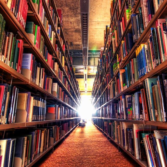 RATON DE BIBLIOTECA - podcast episode cover