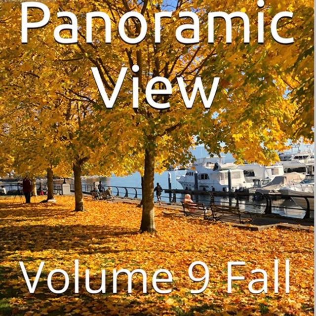Panoramic View Volume 9 Fall by Daniel Lucas - podcast episode cover