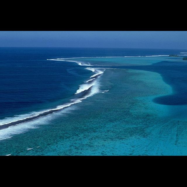 U.S. Coral Reefs Do $1.8 Billion of Work Per Year - podcast episode cover