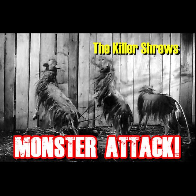 The Killer Shrews | Monster Attack Ep.125 - podcast episode cover