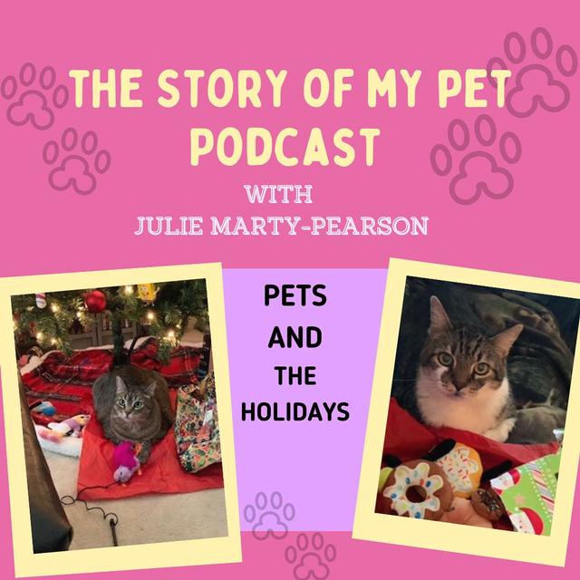 Caring for your Pets and during the Holidays - podcast episode cover