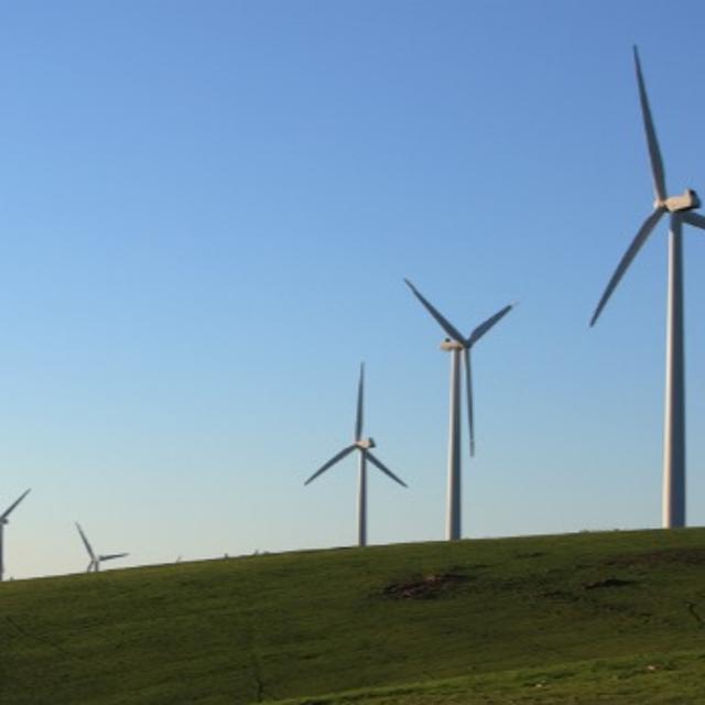 Wind energy’s record low - podcast episode cover