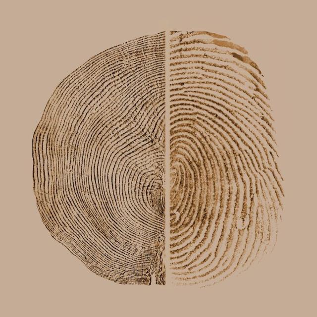 How to Be a Good Ancestor w/ Roman Krznaric - podcast episode cover