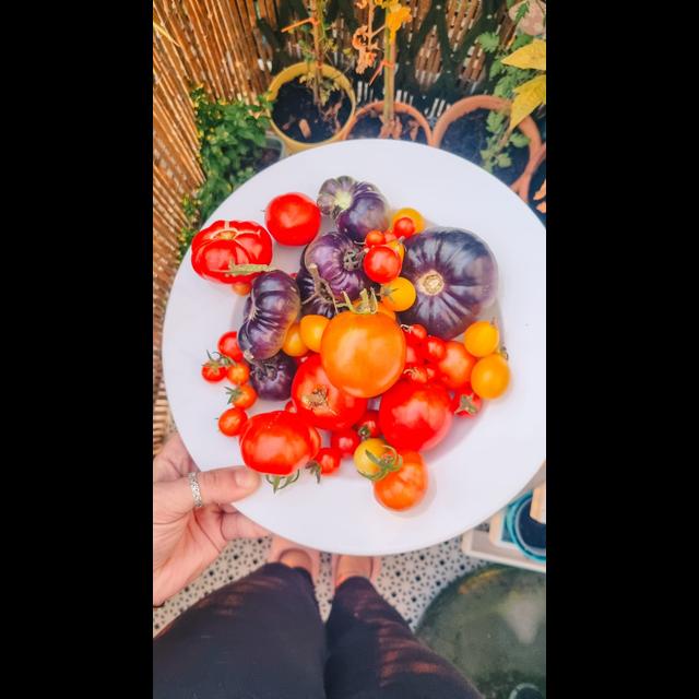 Seasonal Eating Made Simple: How We Cook and Eat with the Seasons at Home - podcast episode cover