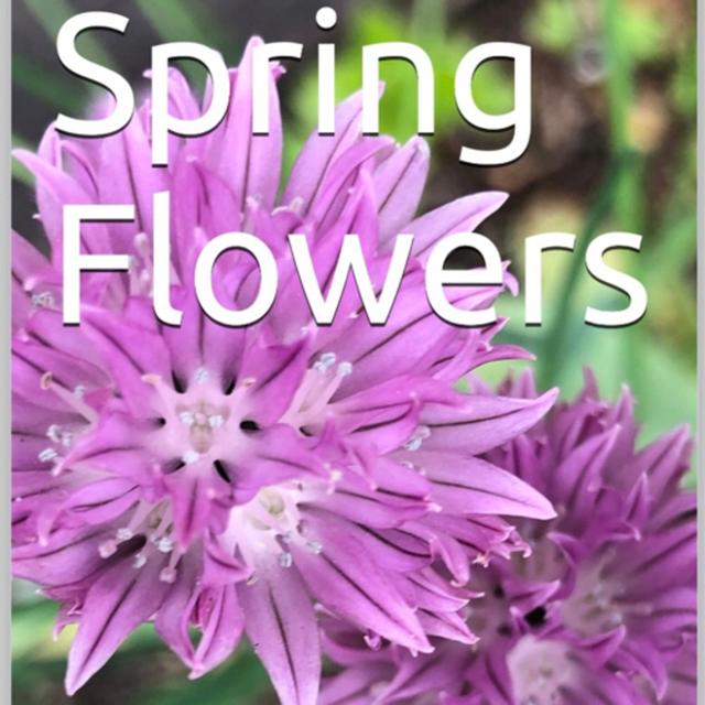 Spring Flowers Volume 130 Splendid by Daniel Lucas - podcast episode cover