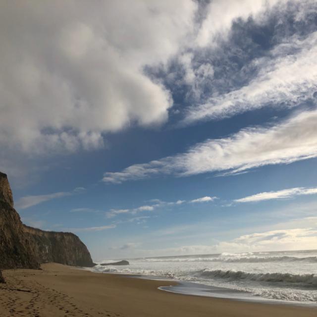 Episode 9: Scott Creek Beach - podcast episode cover