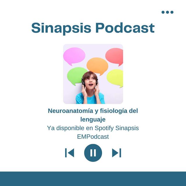 Neuroanatomía y fisiología del lenguaje - podcast episode cover