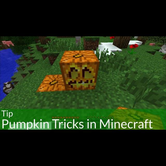 OMGcraft Tip: Pumpkin Tricks in Minecraft - podcast episode cover