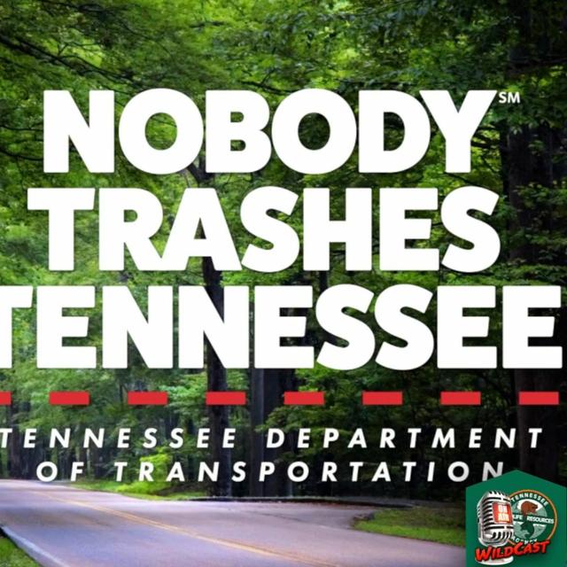 TW 361 - Nobody Trashes Tennessee - podcast episode cover