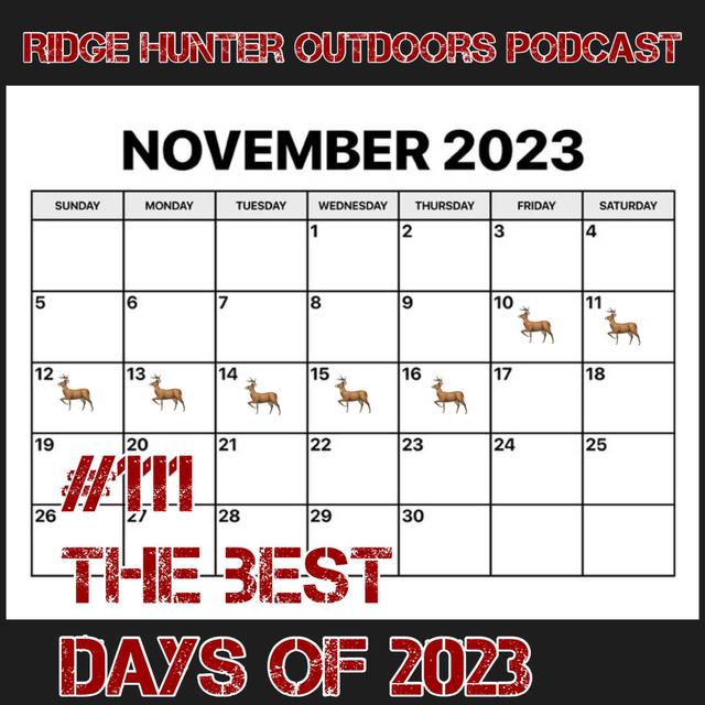 Were These The Best Days of 2023 | RHO Podcast #111 - podcast episode cover