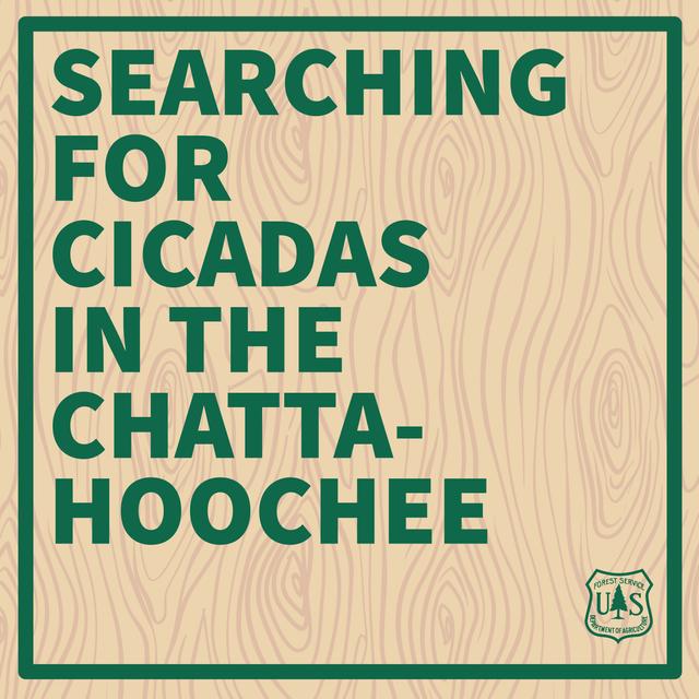 Searching for Cicadas in the Chattahoochee - podcast episode cover