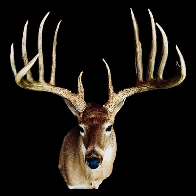 #347 - 7 Year Quest For His Dad's 200" NET Typical Kansas State Record Rack with Matt Daniels - podcast episode cover