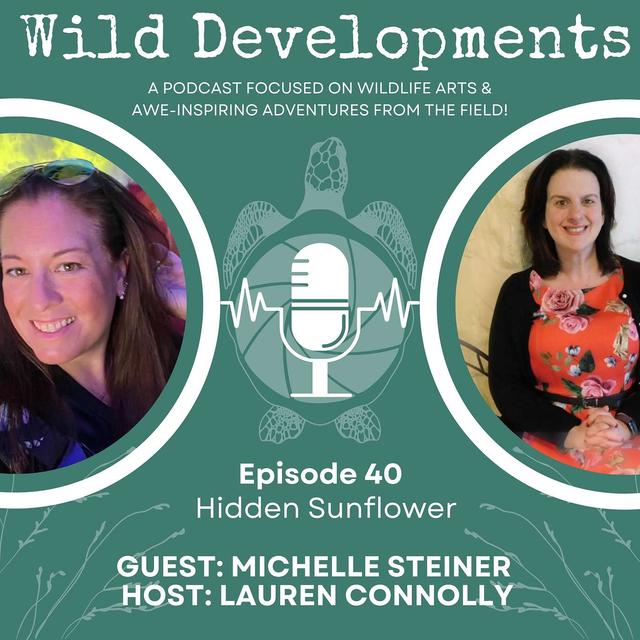 Hidden Sunflower - podcast episode cover