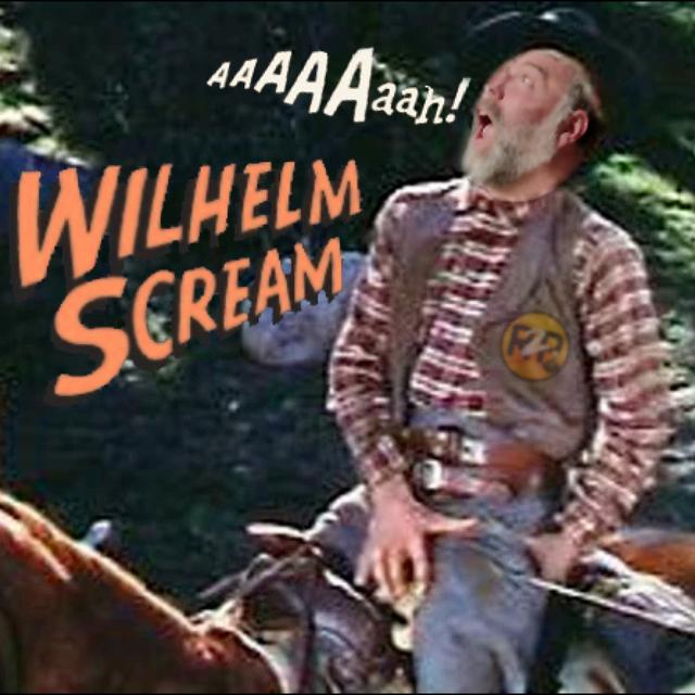 Ready to Play 7 x 270 Els genets indis vs Wilhelm - podcast episode cover