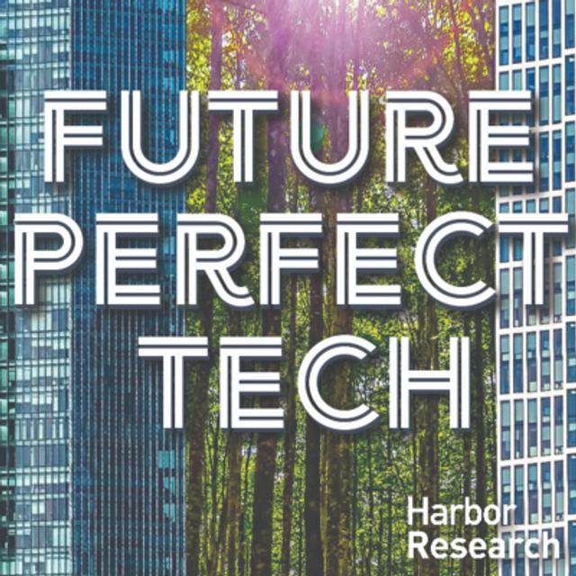The Net Zero Digital Transformation Revolution - podcast episode cover