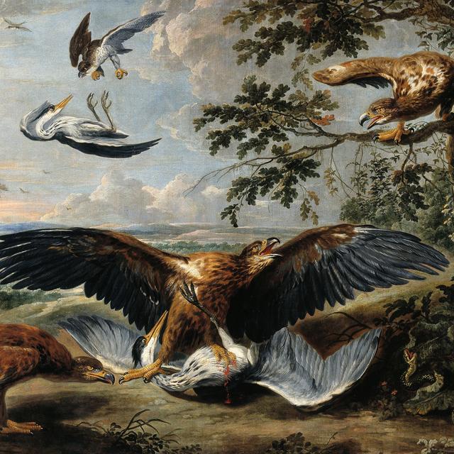 Episode 51: Civility and Consensus Are Overrated - podcast episode cover