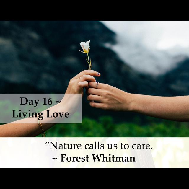 MZD - Ep 66 Living Love - podcast episode cover