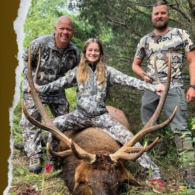 TW 378 - Tennessee Elk Hunting, A Chance of a Lifetime - podcast episode cover