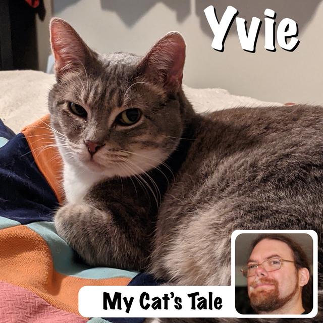 My Cat’s Tale – Yvie Pawdly - podcast episode cover