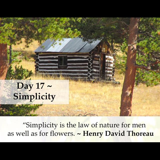 MZD - Ep 67 Simplicity - podcast episode cover