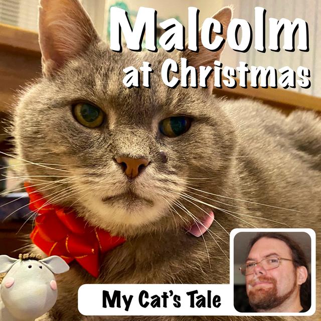 My Cat’s Tale – Malcolm The Cat’s Christmas Tale - podcast episode cover