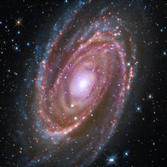 Cosmic Queries – Fan Grab Bag - podcast episode cover