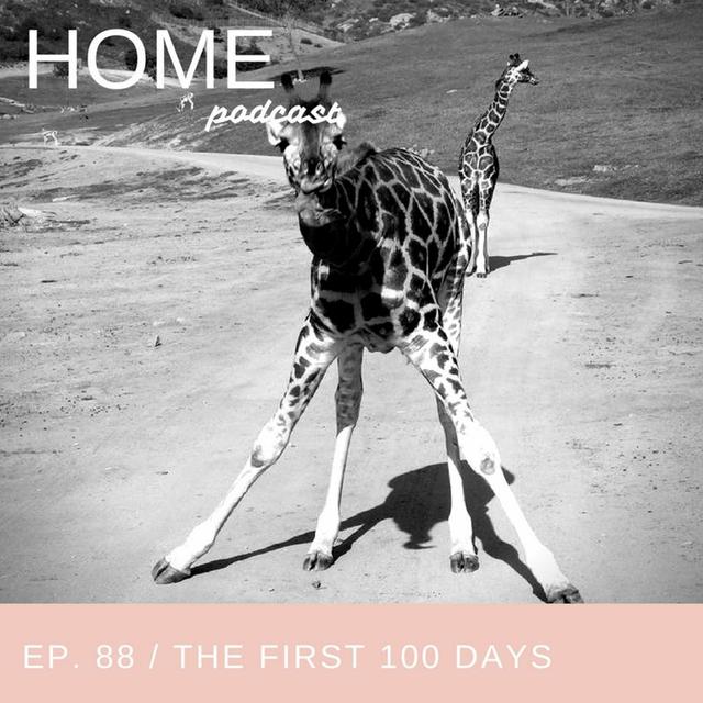 Episode 88: The First 100 Days - podcast episode cover
