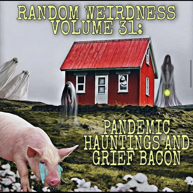 Random Weirdness 31: Pandemic Hauntings and Grief Bacon - podcast episode cover