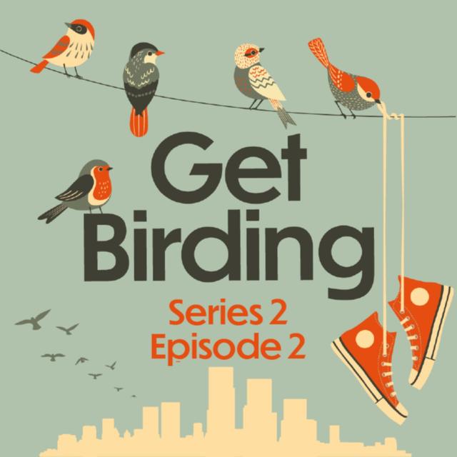 Series 2: Episode 2 - Gabriel Willow, Adrian Thomas, James Taylor Foster - podcast episode cover