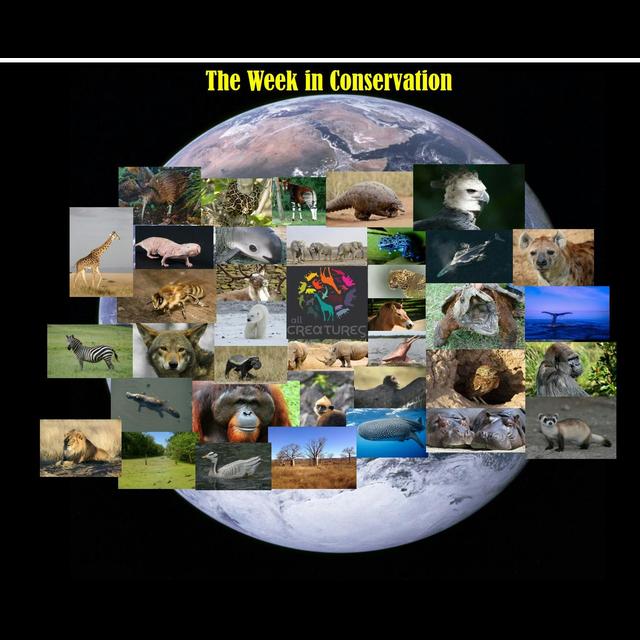 The Week in Conservation for August 10, 2018 - podcast episode cover