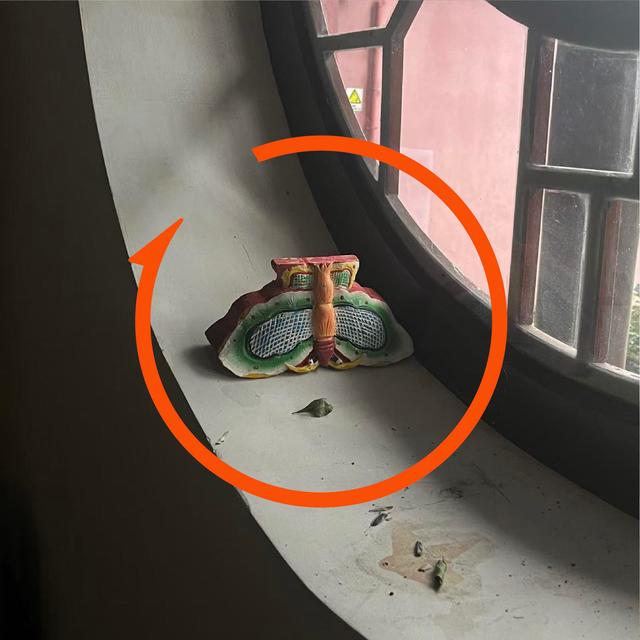 Vol.99 对话胡安焉、贾行家：身处社会丛林，适者生存，还是拒不交出？ - podcast episode cover