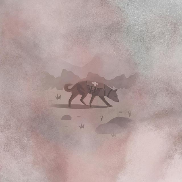11 | The Search - podcast episode cover