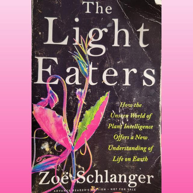 Zoe Schlanger, Author of The Light Eaters - podcast episode cover