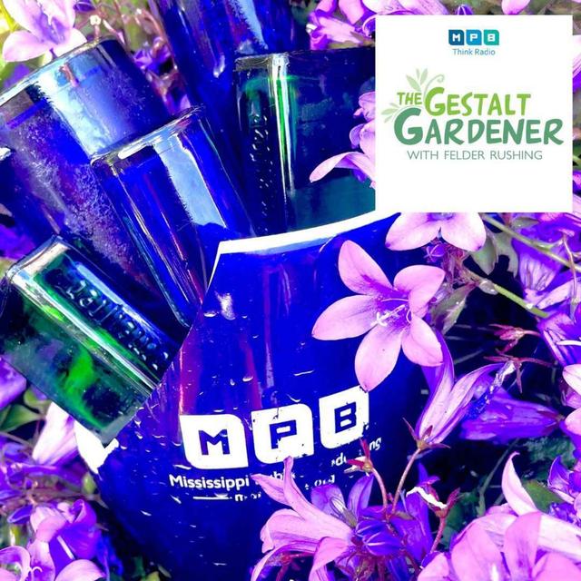 The Gestalt Gardener | I'll Be Back - podcast episode cover